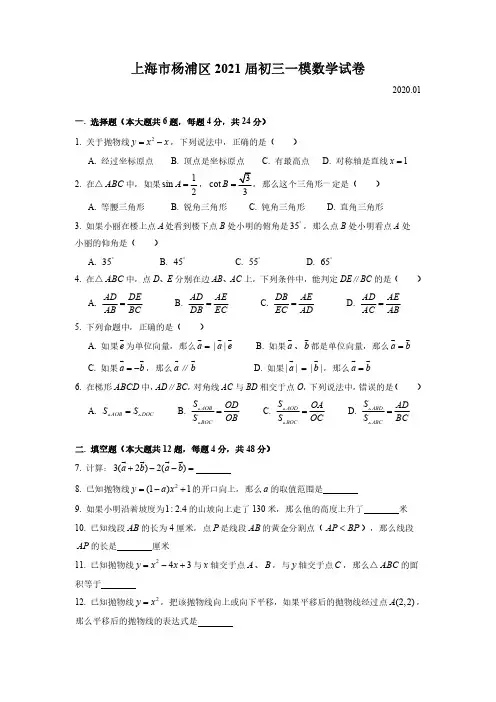 【2021年上海市初中一模数学卷】2021年上海市杨浦区初中毕业生学业模拟考试试卷九年级数学及答案
