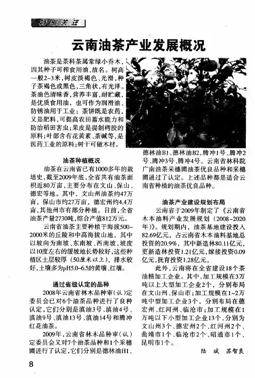 云南油茶产业发展概况