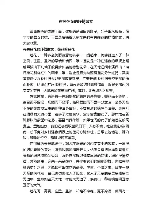 有关莲花的抒情散文