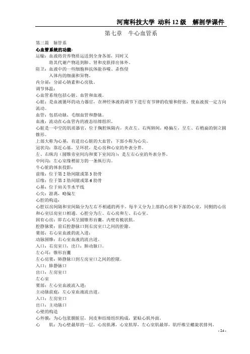 家畜解剖学课件Word版