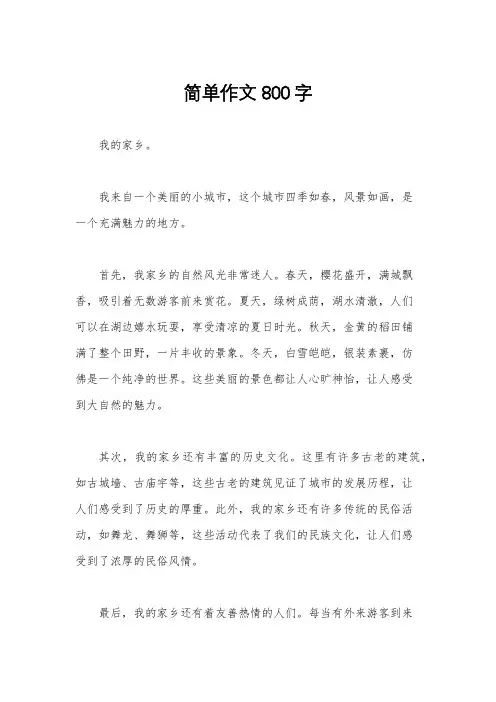 简单作文800字