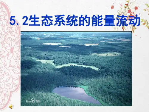 新版人教高中生物20202生态系统的能量流动(公开课)(共37张PPT)学习演示PPT课件