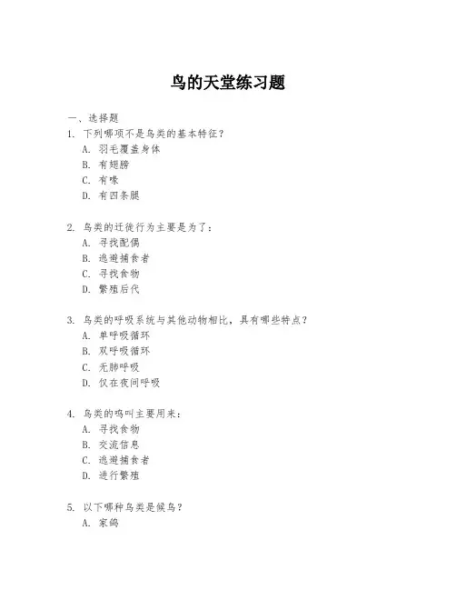 鸟的天堂练习题