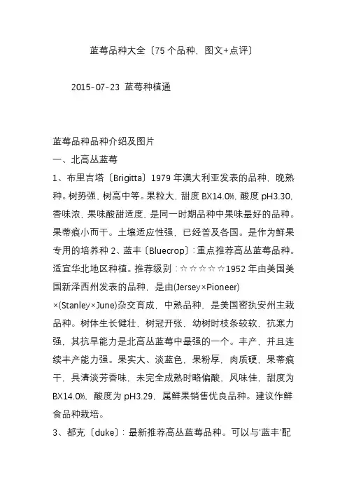 蓝莓品种大全(75个品种-图文-点评)