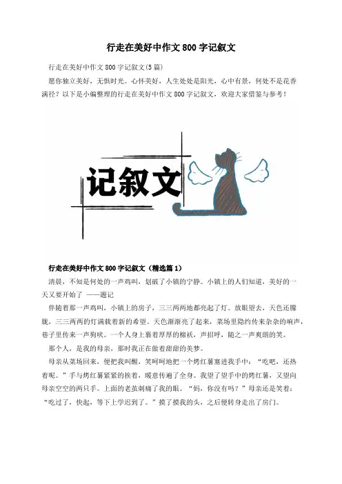 行走在美好中作文800字记叙文