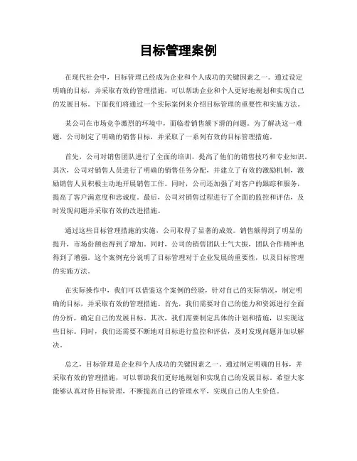 目标管理案例