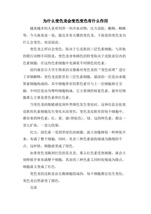 为什么变色龙会变色变色有什么作用