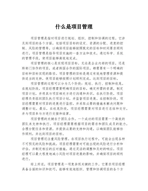 什么是项目管理