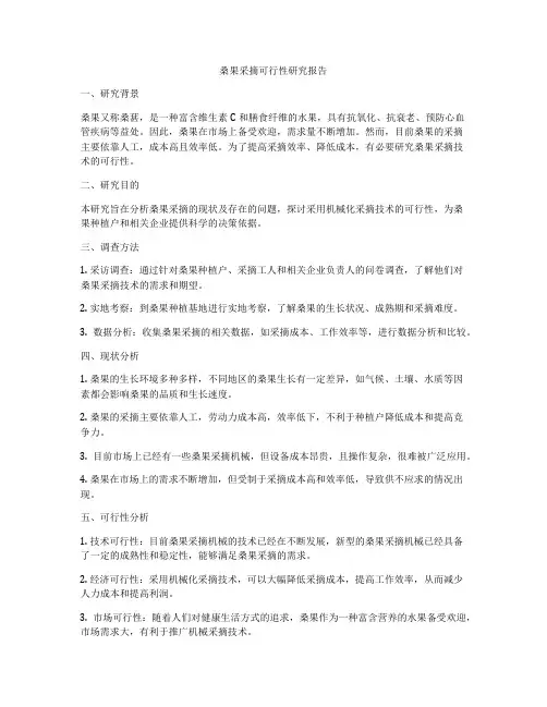 桑果采摘可行性研究报告