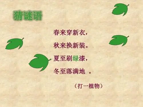 北师大版小学二年级下册语文《一片树叶》课件