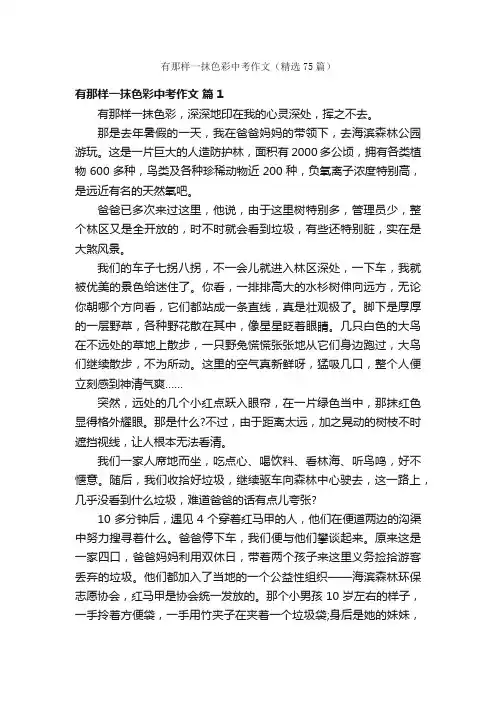 有那样一抹色彩中考作文（精选75篇）