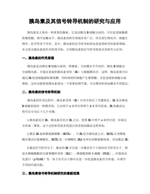 胰岛素及其信号转导机制的研究与应用