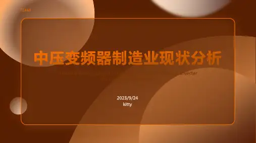 2023年中压变频器制造业现状及发展趋势报告模板