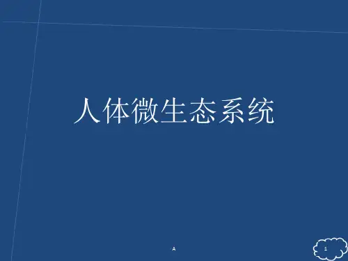 人体微生态系统