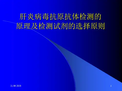 肝炎病毒抗原抗体检测的PPT课件