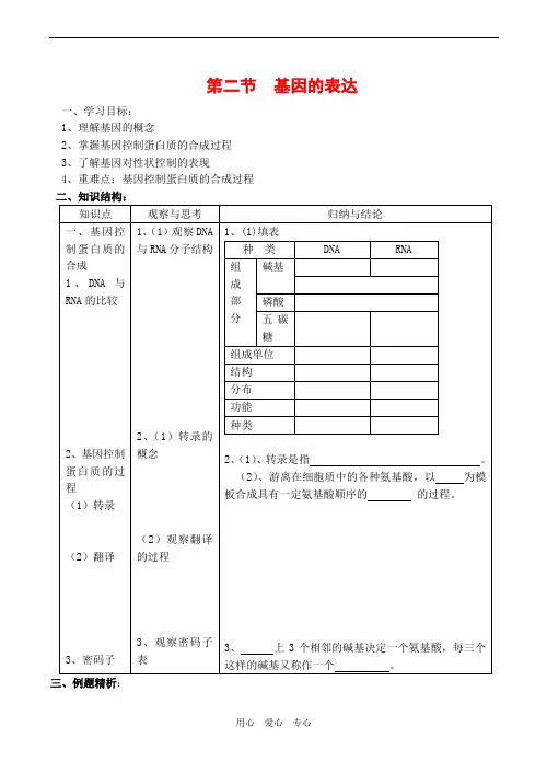 高中生物：第二节 基因的表达学案 中图版必修2