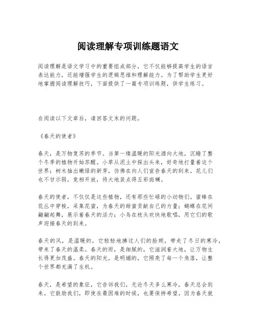 阅读理解专项训练题语文