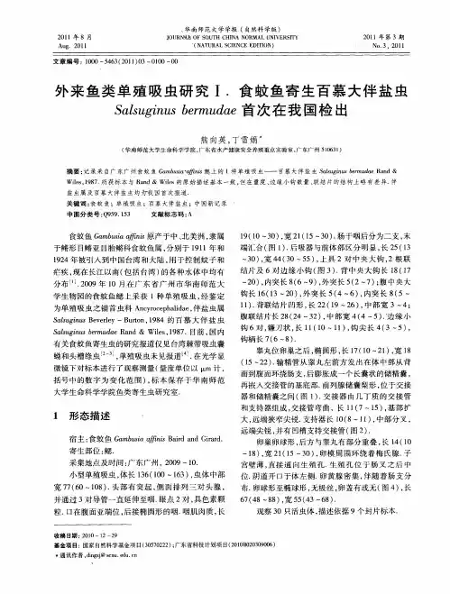 外来鱼类单殖吸虫研究Ⅰ.食蚊鱼寄生百慕大伴盐虫Salsuginus bermudae首次在我国检出
