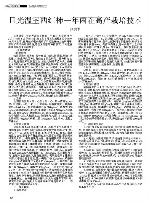 日光温室西红柿一年两茬高产栽培技术