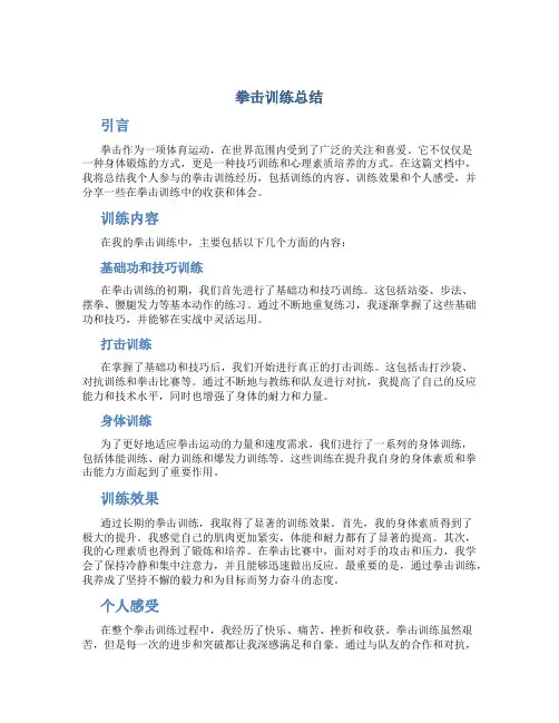 拳击训练总结