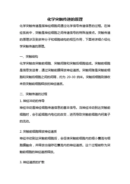 化学突触传递的原理