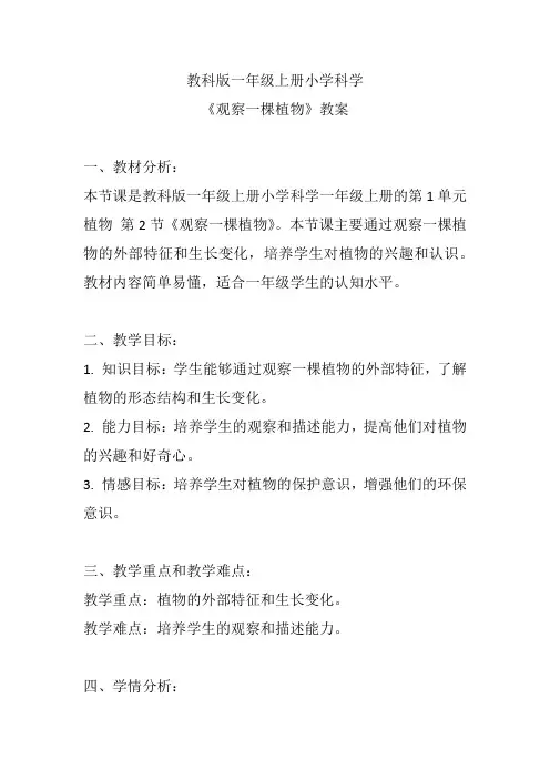 《观察一棵植物》(教案)教科版一年级上册科学
