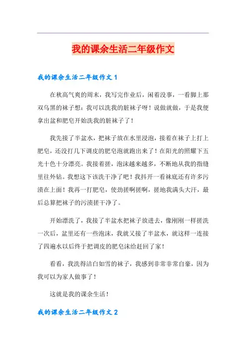 我的课余生活二年级作文