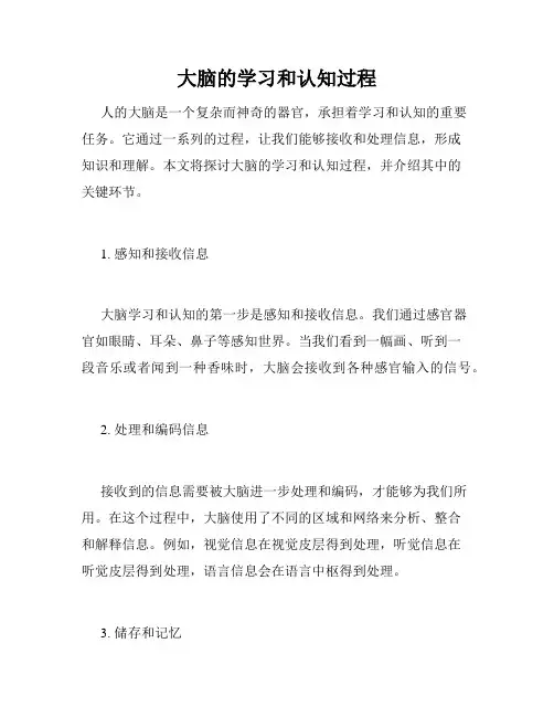 大脑的学习和认知过程