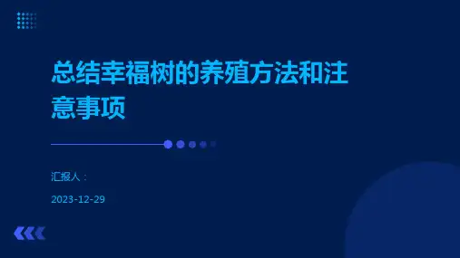 总结幸福树的养殖方法和注意事项