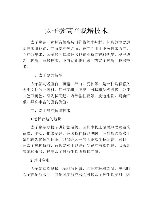 太子参高产栽培技术