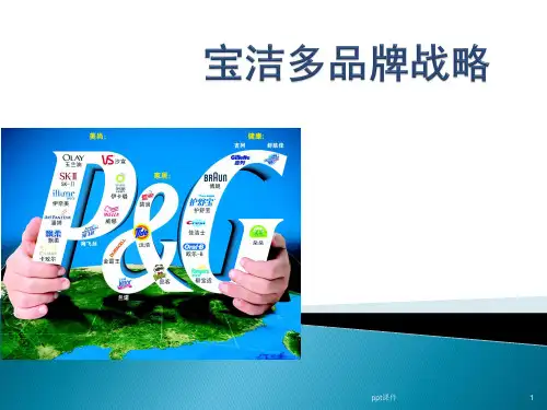 市场营销——宝洁多品牌战略案例  ppt课件