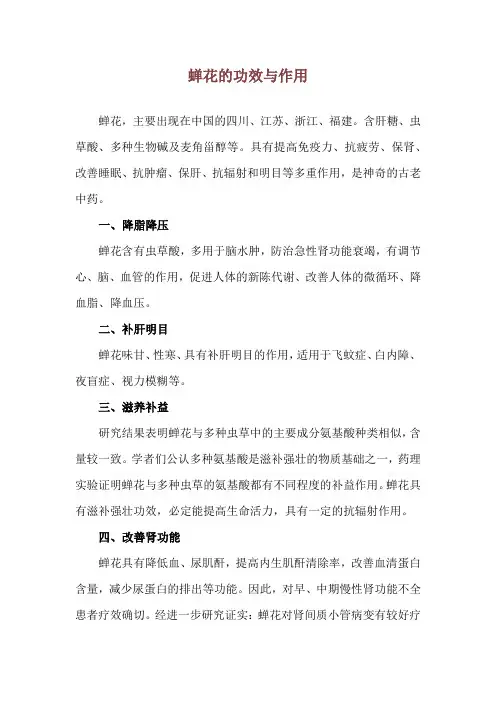 蝉花的功效与作用