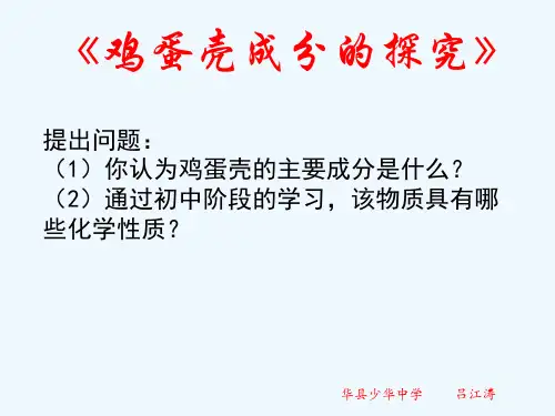化学人教版九年级下册《鸡蛋壳成分的探究