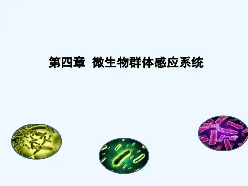 微生物群体感应系统