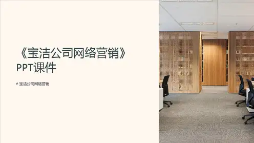 《宝洁公司网络营销》课件