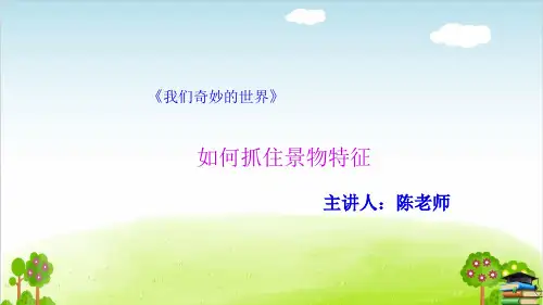 《我们奇妙的世界》课件ppt(共15张ppt)