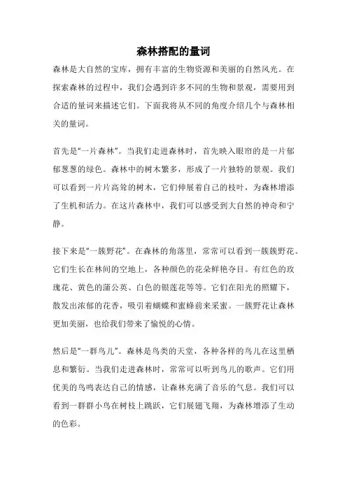 森林搭配的量词