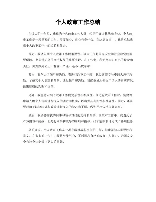 个人政审工作总结