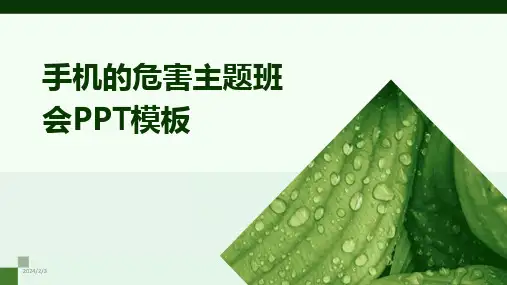 2024版年度手机的危害主题班会PPT模板