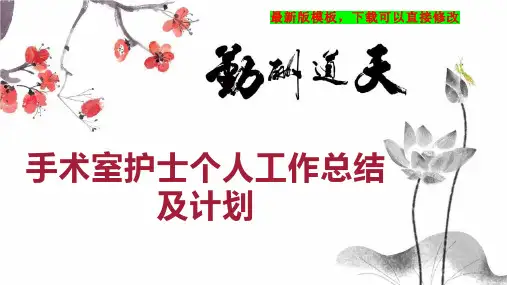 手术室护士个人工作总结及计划PPT模板下载