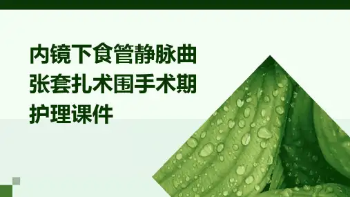 内镜下食管静脉曲张套扎术围手术期护理课件