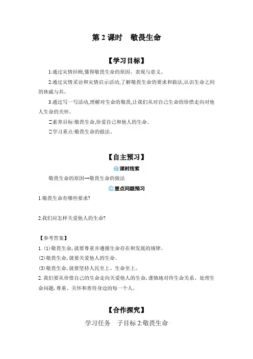 8.2  敬畏生命 学案(含答案) 2024-2025学年道德与法治统编版七年级上册.doc