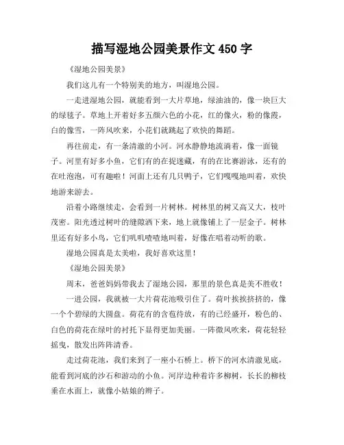 描写湿地公园美景作文450字
