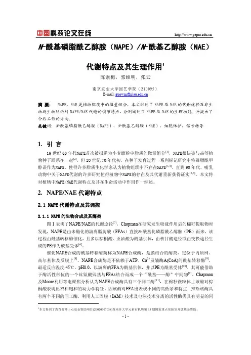 N-酰基磷脂酰乙醇胺(NAPE) N-酰基乙醇胺(NAE)代谢特点及其生理作用
