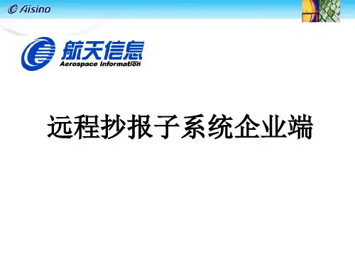 企业集成处理系统远程抄报和金税卡在同一机器抄报.ppt