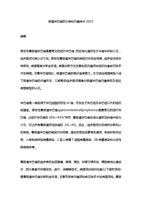 肠道淋巴瘤的分类和内镜特点2023