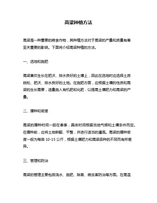 高粱种植方法