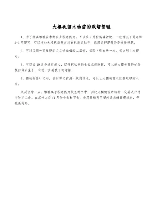 大樱桃苗木幼苗的栽培管理