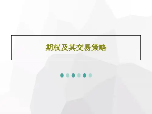 期权及其交易策略78页PPT