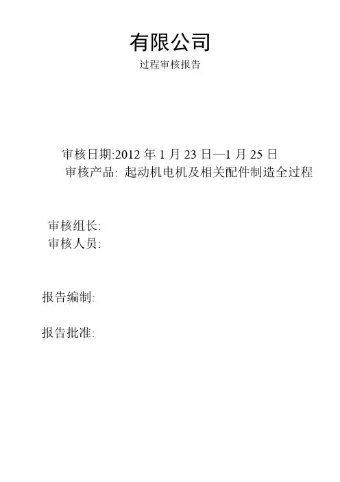 过程审核报告样本新